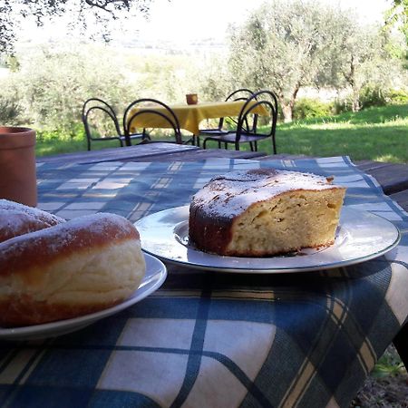 I Fagiani B&B Ρίμινι Εξωτερικό φωτογραφία