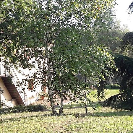 I Fagiani B&B Ρίμινι Εξωτερικό φωτογραφία