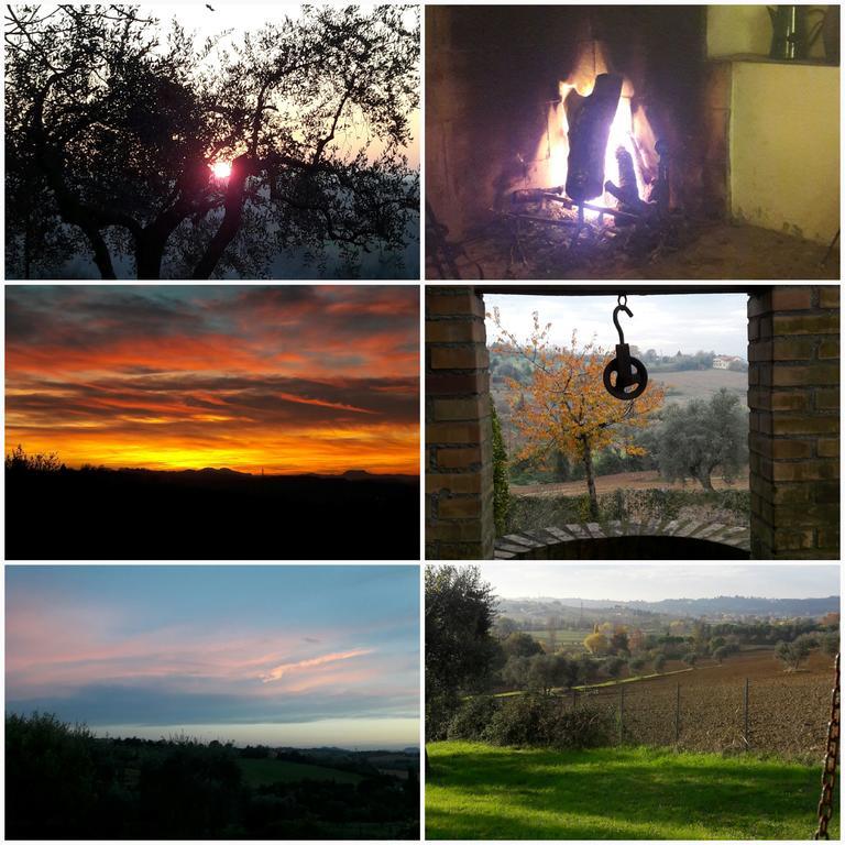 I Fagiani B&B Ρίμινι Εξωτερικό φωτογραφία